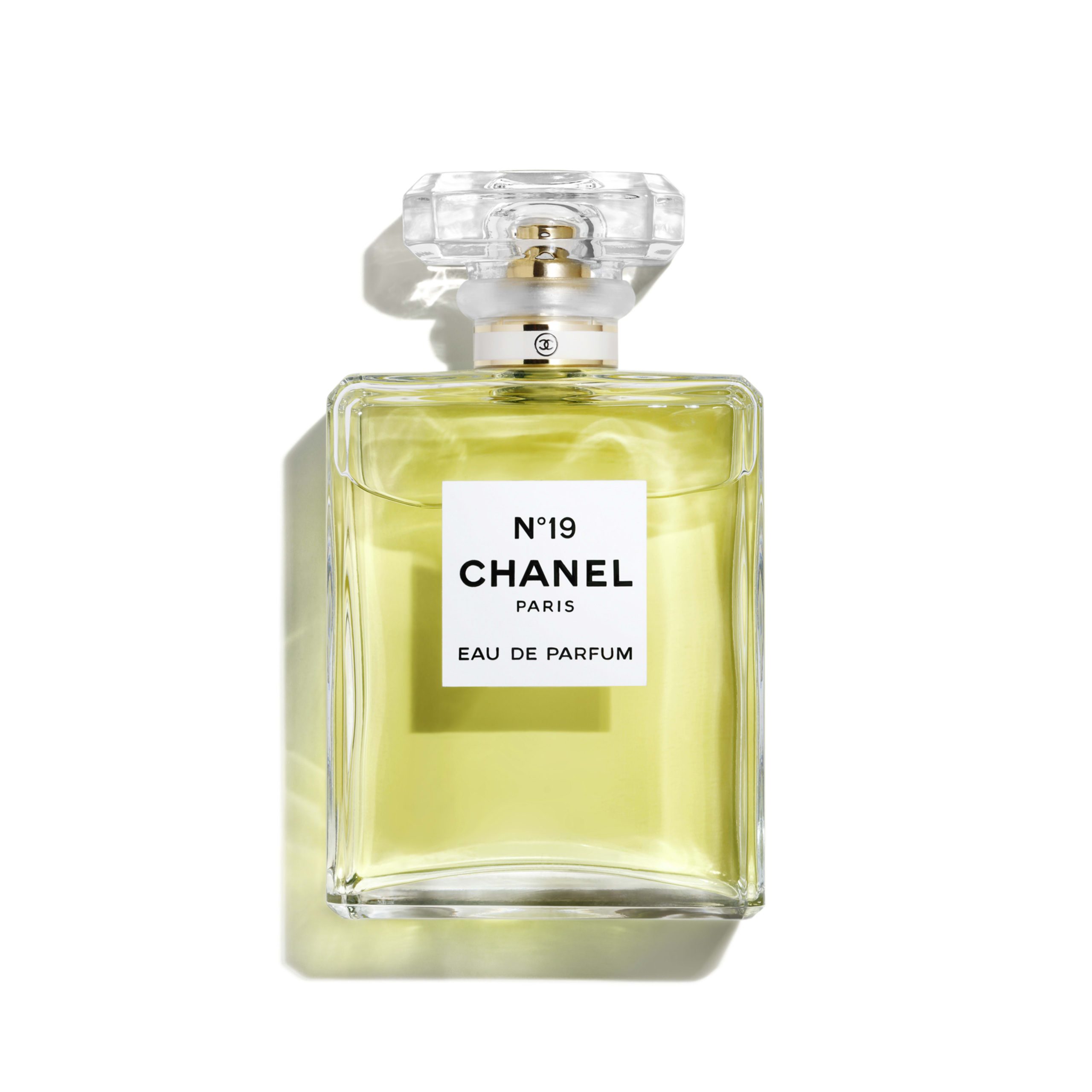 Chanel No.19 Eau De Parfum 100 ml – Opulent Fragrances